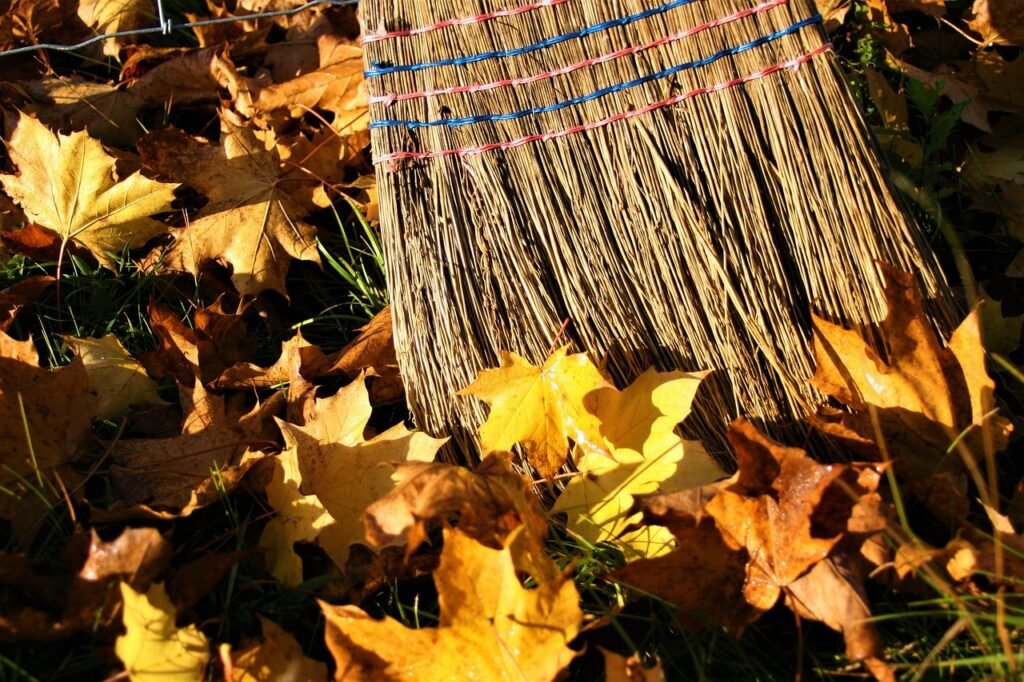 yellow leaves, autumn gold, autumn