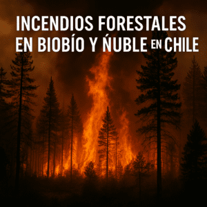 Incendios Biobío y Ñuble en Chile-01